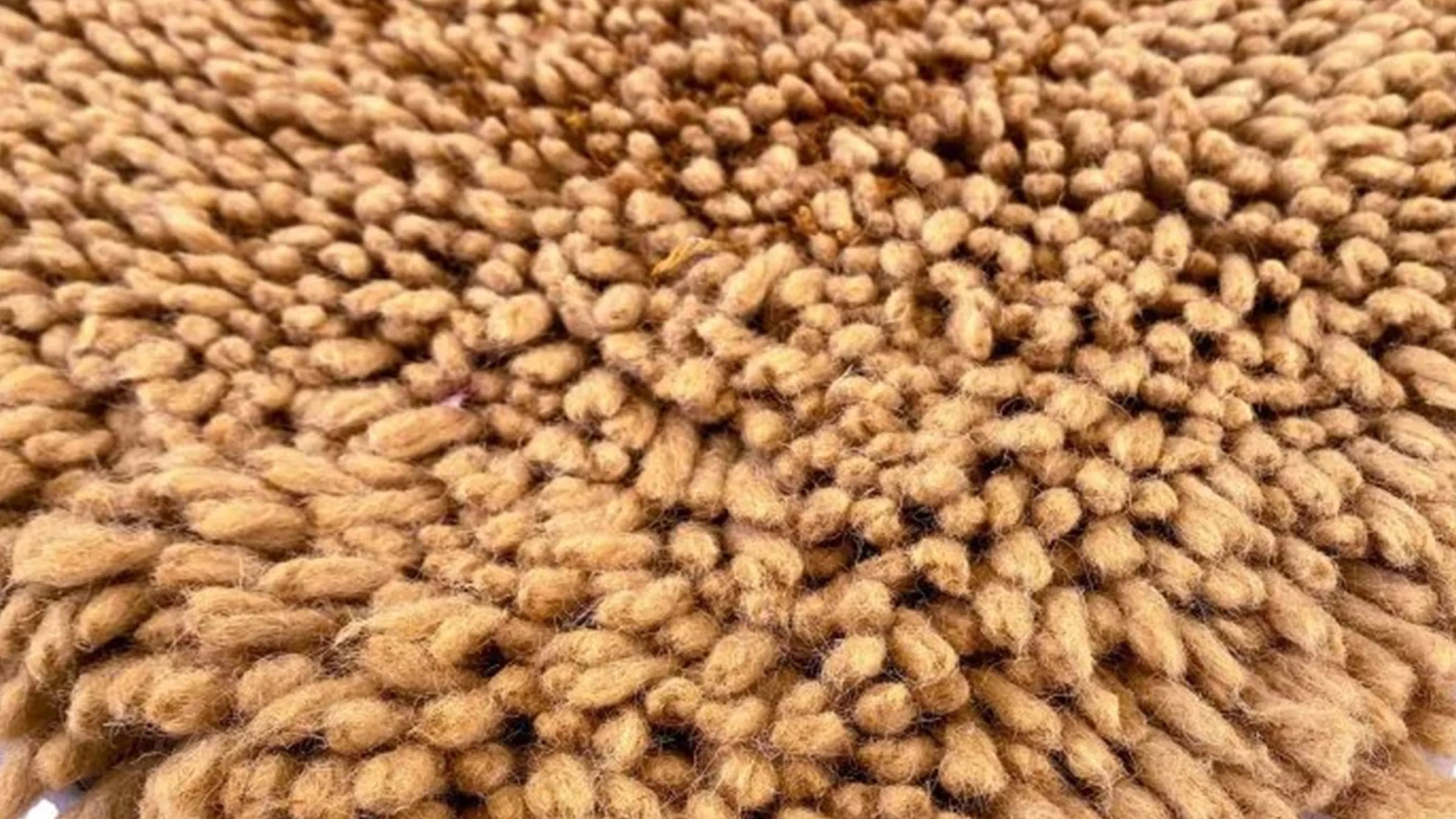 Hand Woven Shaggy - Imam Carpet Co