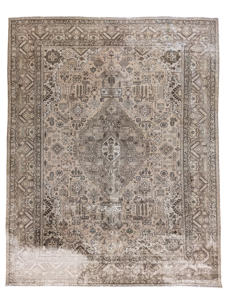 Lunora - Size: 11.4 x 8.5