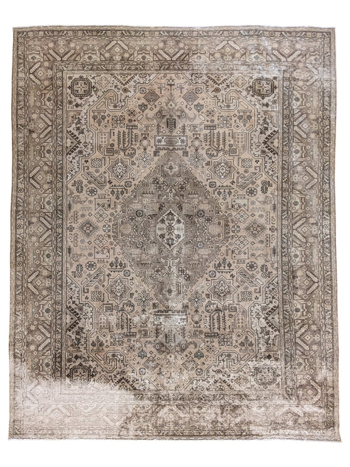 Lunora - Size: 11.4 x 8.5