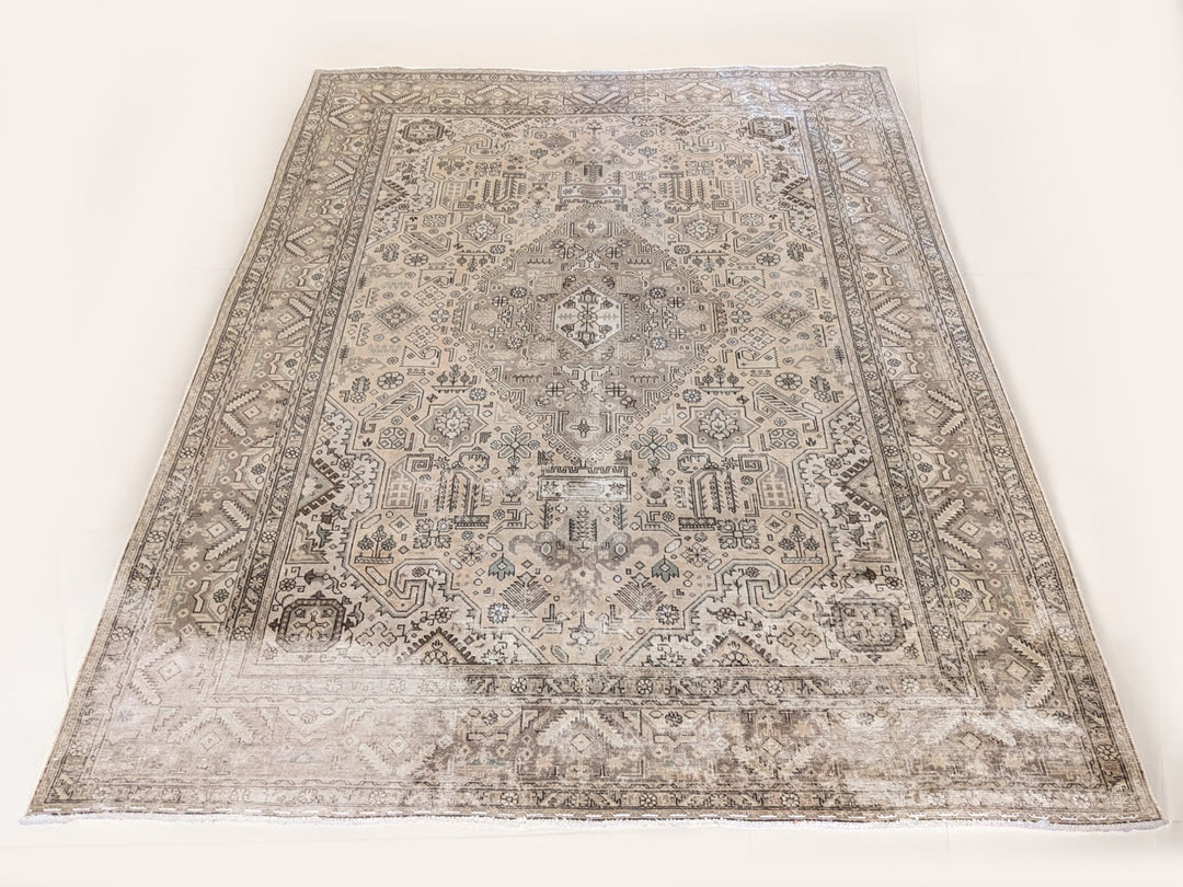 Lunora - Size: 11.4 x 8.5