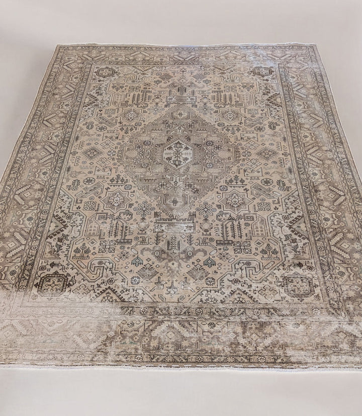 Lunora - Size: 11.4 x 8.5