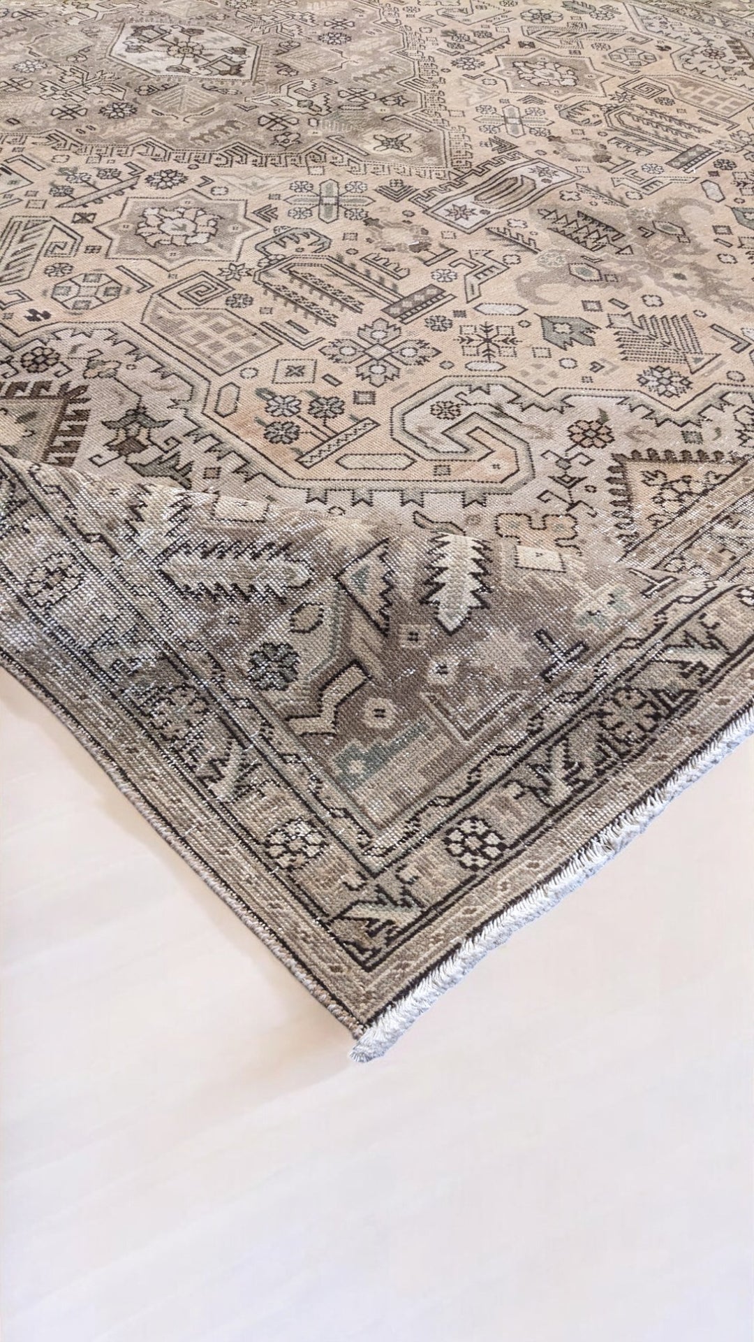 Lunora - Size: 11.4 x 8.5