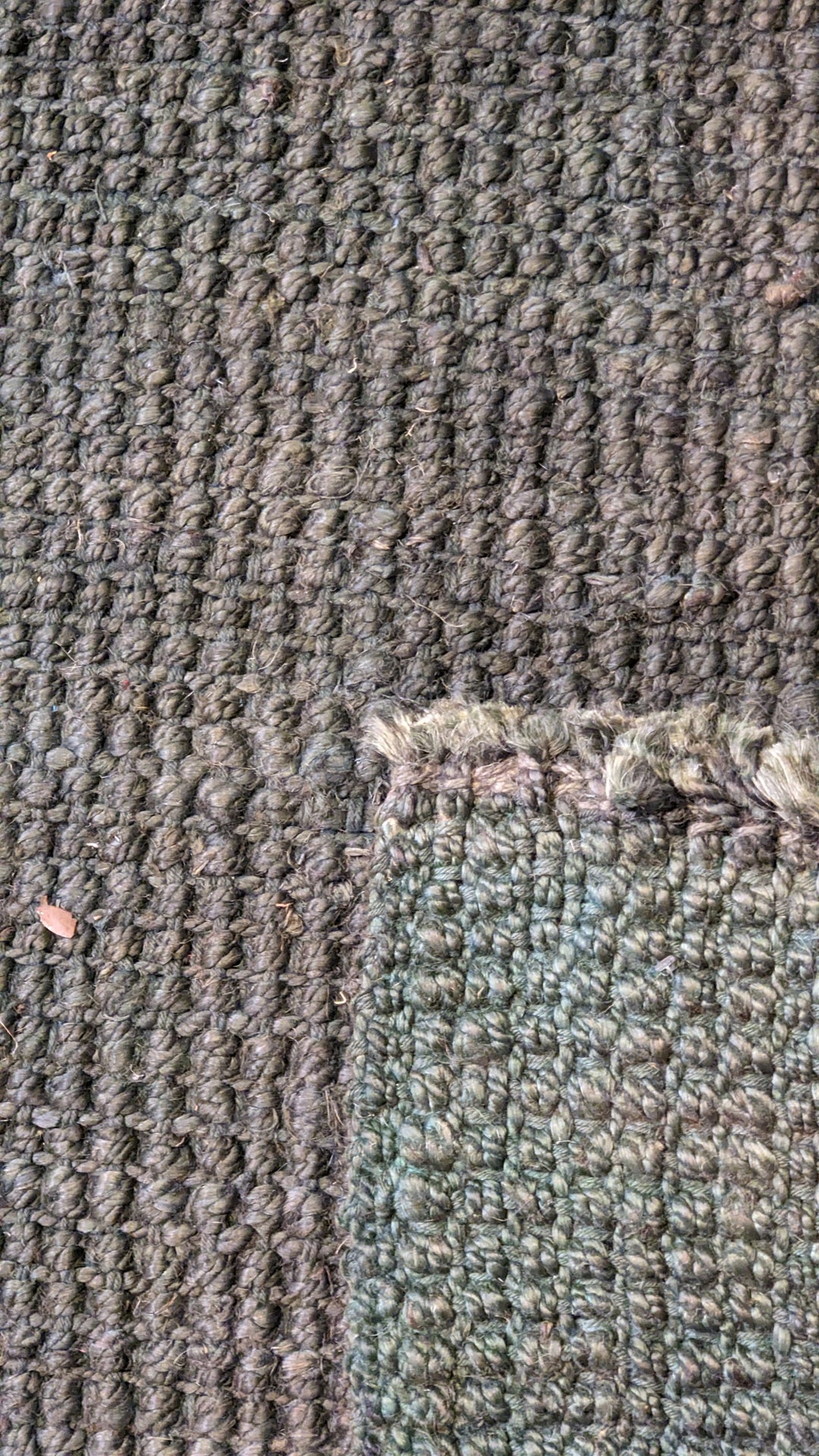 Loop Overdyed Jute Rug - Size: 8.8 x 5.9