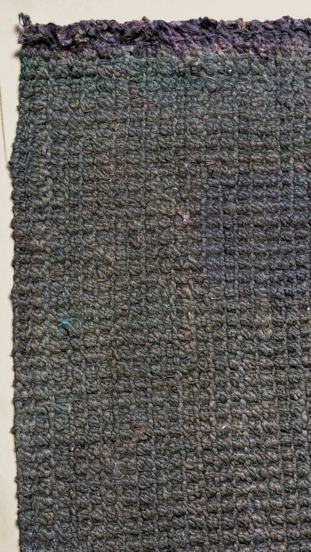Loop Overdyed Jute Rug - Size: 8.8 x 5.9