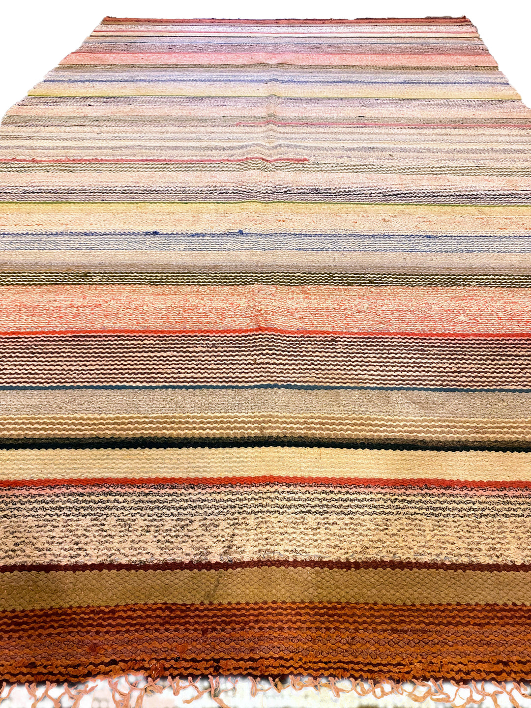 Euphorbia - Size: 10 x 6 - Imam Carpet Co