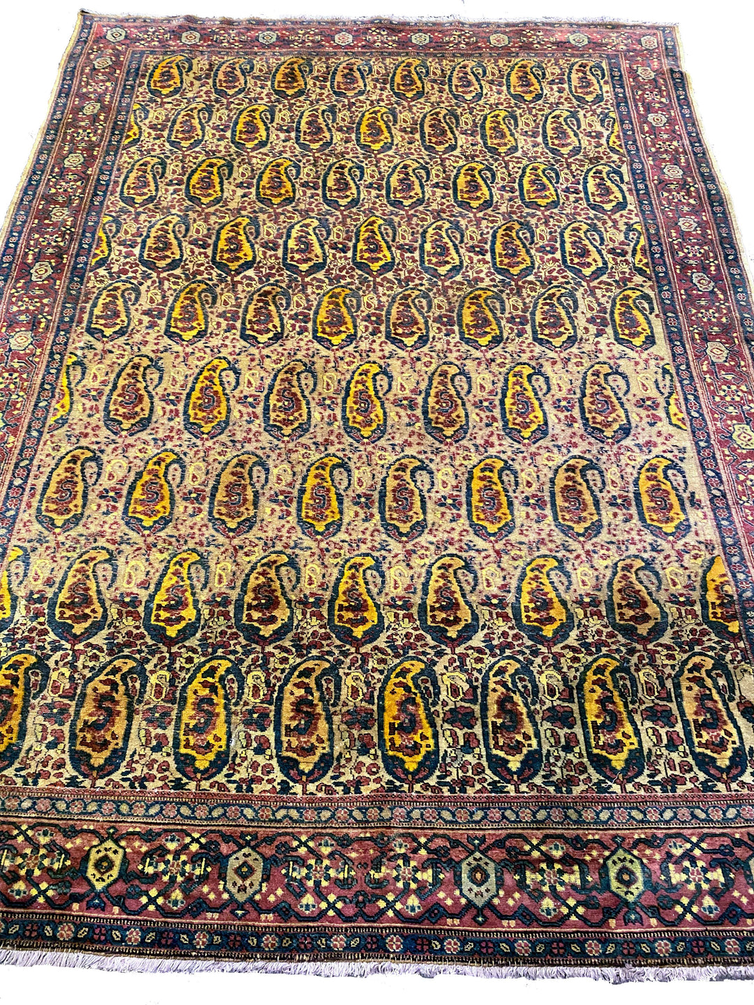 Piekna - Size: 6.11 x 5.1 - Imam Carpet Co